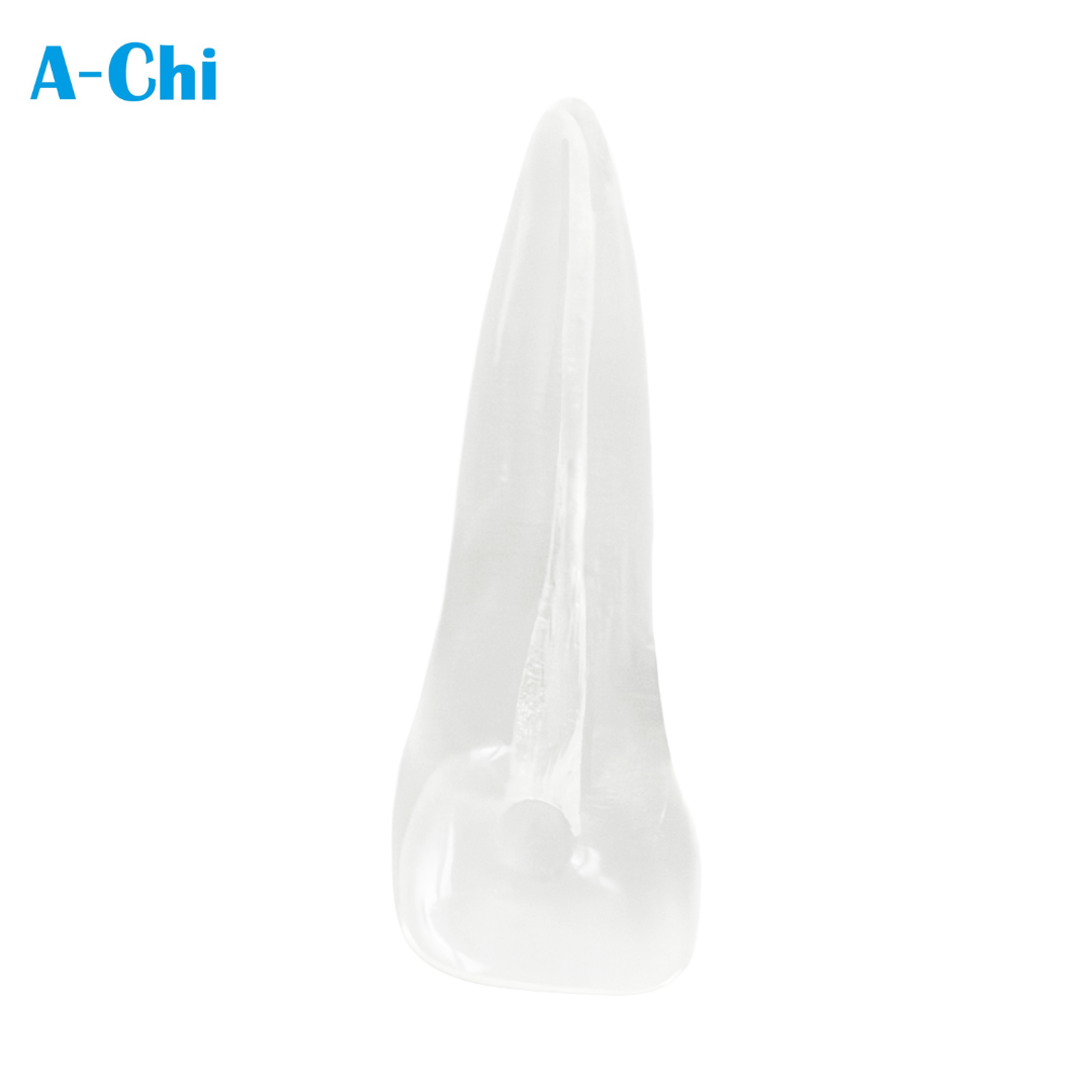 Maxillary Central Incisor