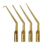 JT2FA: B&L Ultrasonic Apico Tip for Anterior & Posterior Full Set